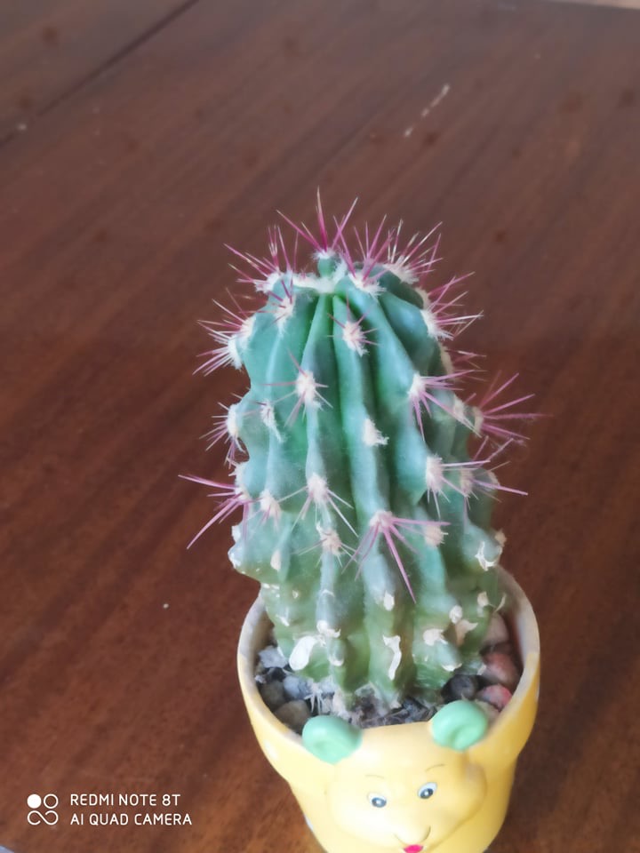 1f